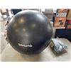 Image 1 : 2 EXCERCISE BALLS