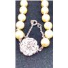 Image 3 : PEARL NECKLACE (22")