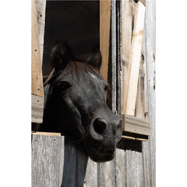 Stay Tuned for Next Thursday!