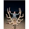 Image 2 : 2025 Hualapai Scholarship Bull Elk Tag