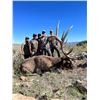 Image 3 : 2025 Hualapai Scholarship Bull Elk Tag