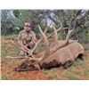Image 4 : 2025 Hualapai Scholarship Bull Elk Tag