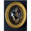 Image 1 : Saburo Inc Real Hawaiian Flower And Leaves Petrified Plated In 24k Gold -  Fern Epidendrum Orchid Ov