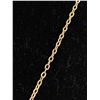 Image 3 : Sterling Silver Chain with Sand Dollar Pendant Marked Sterling