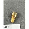 Image 2 : 2 Gold Teeth 6.62g