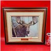 Image 1 : Framed "Bull Moose" Print by Robert Bateman