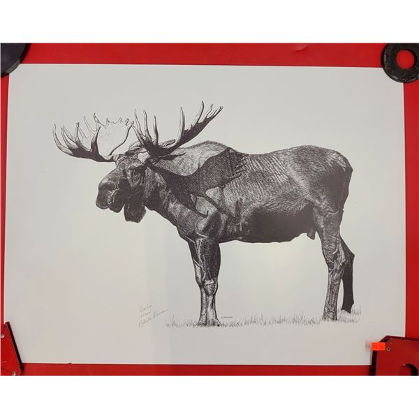 Signed 14/200 Moose Print