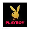 Image 1 : Mystery "PLAYBOY" Collector Magazine -Possibilities Include C1970's - 2000's.