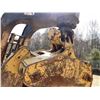 Image 11 : 2006 CAT 525C Skidder