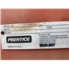 Image 21 : 1998 PRENTICE 410E Log Loader