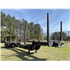 Image 5 : 2014 EVANS LW-42-DFP Log Trailer