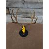 Image 1 : Custom Beaded Wyoming 307 Baby Booner Mule Deer Euro
