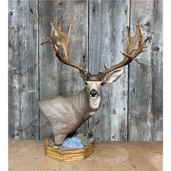 Baby Booner "Big Boy" Limited Edition 1 of 1