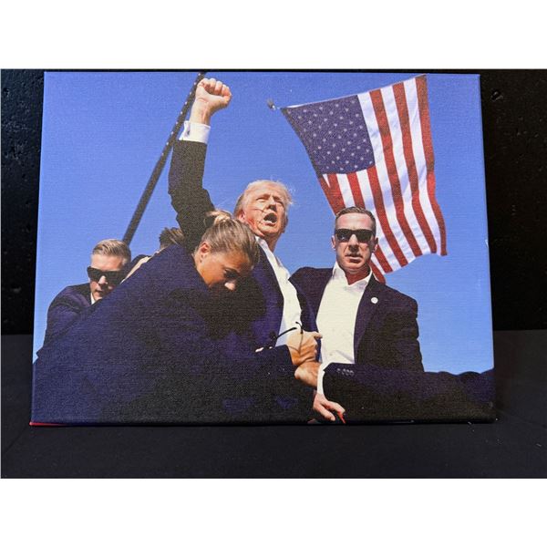 Trump Assassination Attempt Canvas Print