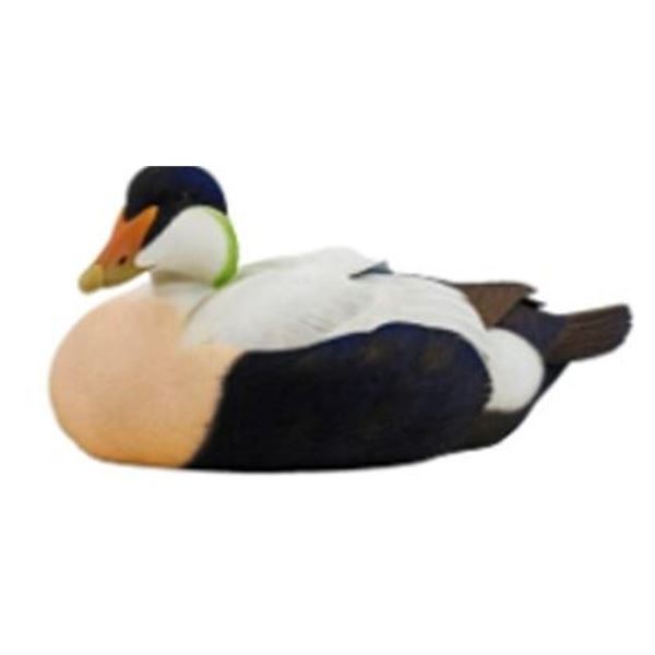 DU 2025 Decoy of The Year - Common Eider