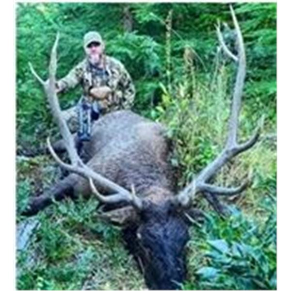 Oregon Roosevelt Elk Hunt ExP-erience by_Angry_ SP-.ike Productions