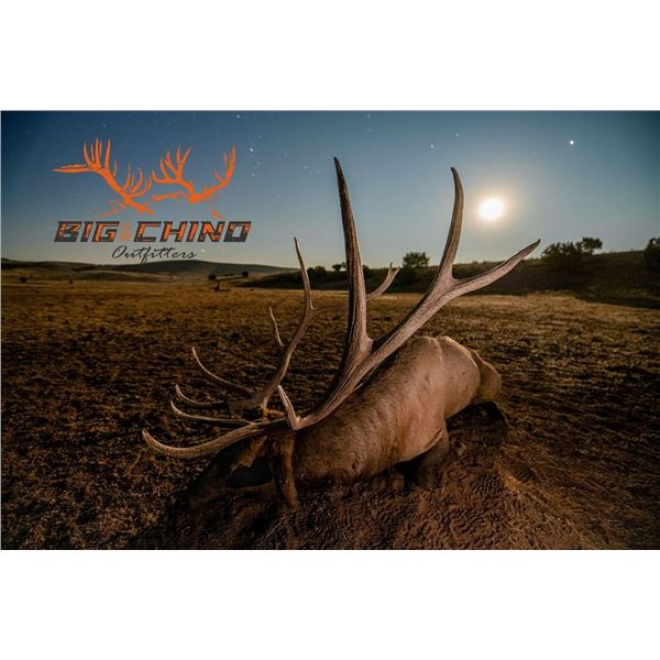 2026-2027 Montana Trophy Bull Elk Hunt by Big Chino Outfitters: