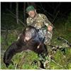 Image 1 : 2026 Colorado Black Bear Hunt By Gypsum Creek Outfitters