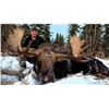 Image 1 : 2025 or 2026 Alberta Moose Hunt by Canadian Outfitting Company