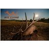 Image 1 : 2026-2027 Montana Trophy Bull Elk Hunt by Big Chino Outfitters: