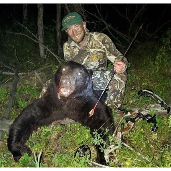 2026 Colorado Black Bear Hunt By Gypsum Creek Outfitters