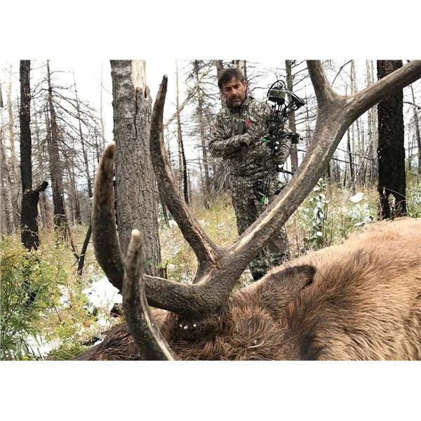 2025/2026 New Mexico Coached Elk Hunt by Elk Bros Adventures