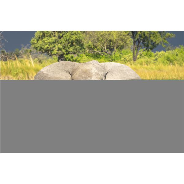 Original African Safari photo