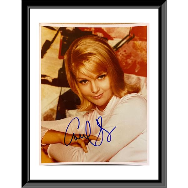 Carol Lynley signed photo. 8X10 Inches