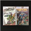 Image 1 : LOT OF 2 COMICS VARIOUS TITLES