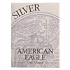 Image 4 : 1996-P Proof Silver Eagle in OGP