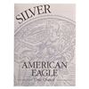 Image 4 : 2003-W Proof Silver Eagle in OGP