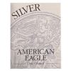 Image 4 : 2001-W Proof Silver Eagle in OGP