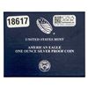 Image 5 : 2021-W Ty I Proof Silver Eagle in OGP