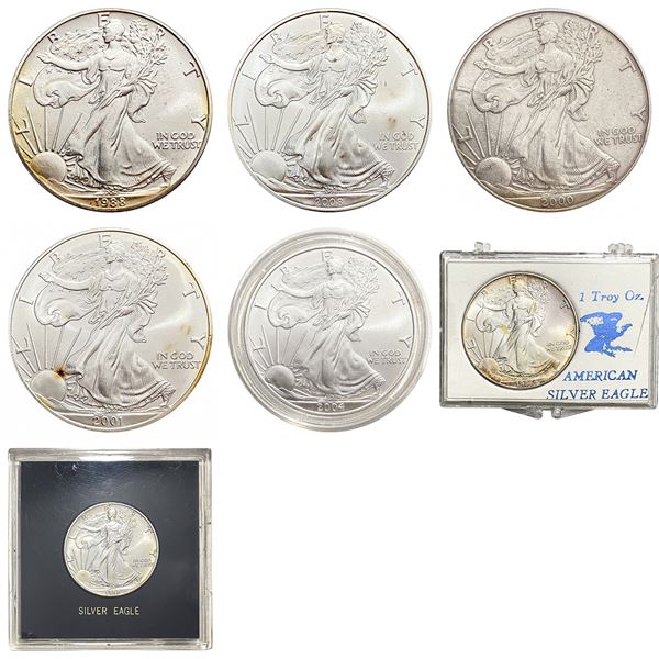 [7]1986-2008 Silver Eagle