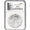 Image 6 : [5]1990-2006 Silver Eagle NGC MS69