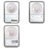 Image 2 : [3 Coins] 2004-2010 Eagle $1 NGC MS69