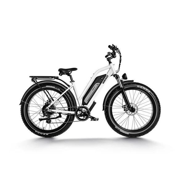 Himiway D3 Step Thru Electric Bike