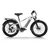 Image 1 : Himiway D5 Premium All-terrain Electric Bike