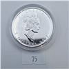 Image 2 : RCM 2002 Coloured Maple Leaf 1 oz 99.99% Silver