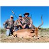 Image 15 : 4 Person African Hunting Safari