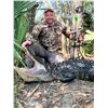 Image 2 : Louisiana Gator Hunts