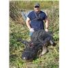 Image 3 : Louisiana Gator Hunts