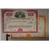Image 5 : 6 VINTAGE US STOCK CERTIFICATES 1965, 67, 68, 72,