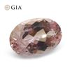 Image 2 : Pretty GIA Certified 1.16 Ct Natural Topaz