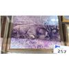 Image 8 : SHELF LOT OF ASSORTED HUNTING PHOTOS