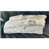 Image 2 : LARGE CHUNK OF SELENITE