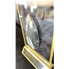 Image 2 : 3.6" ORTHOCERAS FOSSIL LISTED RETAIL $400