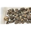 Image 2 : BIN OF ROUGH AMBER CHUNKS
