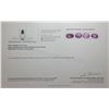 Image 1 : 74.87 CT CERTIFIED FANCY AMETHYST GEMSTONE PARCEL ($9,170 APPRAISAL)