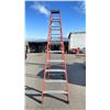 Image 3 : 10' LADDER